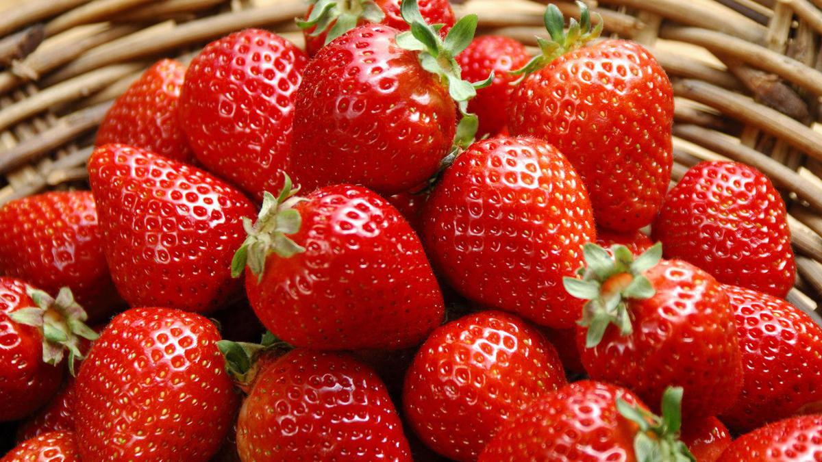 10 Manfaat Strawberry untuk Kesehatan dan Kecantikan, Kaya Nutrisi