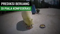 Berita video beruang kutub bernama Nika memprediksi Portugal akan menang atas Selandia Baru dan Cile kalah dari Australia pada laga terakhir grup Piala Konfederasi 2017.