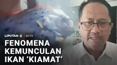 Fenomena Kemunculan Ikan 'Kiamat'