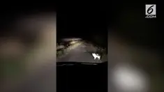 Kejadian berawal ketika seorang pengguna Twitter @zc31s_Monster dan temannya memutuskan mengendarai mobil untuk menjelajahi pegunungan pada malam hari.