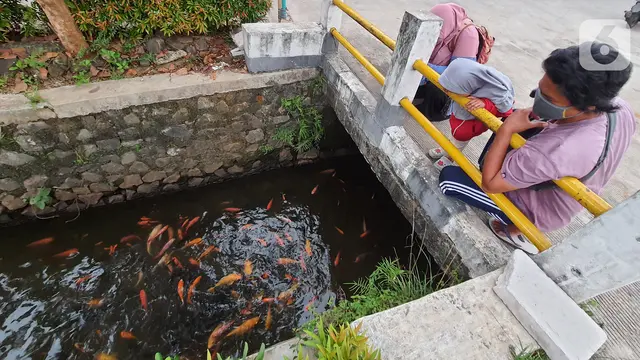 Warga Puri Pamulang Menyulap Selokan Jadi Kolam Ikan