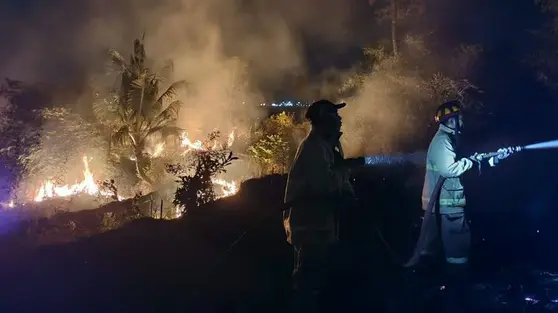 219 Kebakaran di Jember dalam 9 Bulan, Dipicu Kebiasaan Sepele