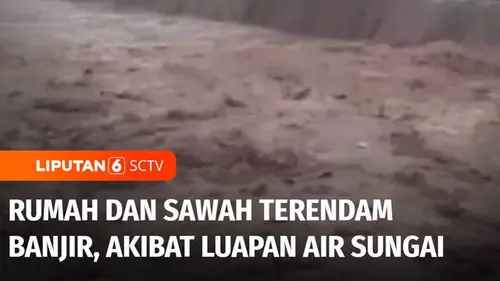 VIDEO: Air Sungai Meluap Akibat Hujan Deras, Rumah Warga dan Sawah di Ponorogo Terendam Banjir