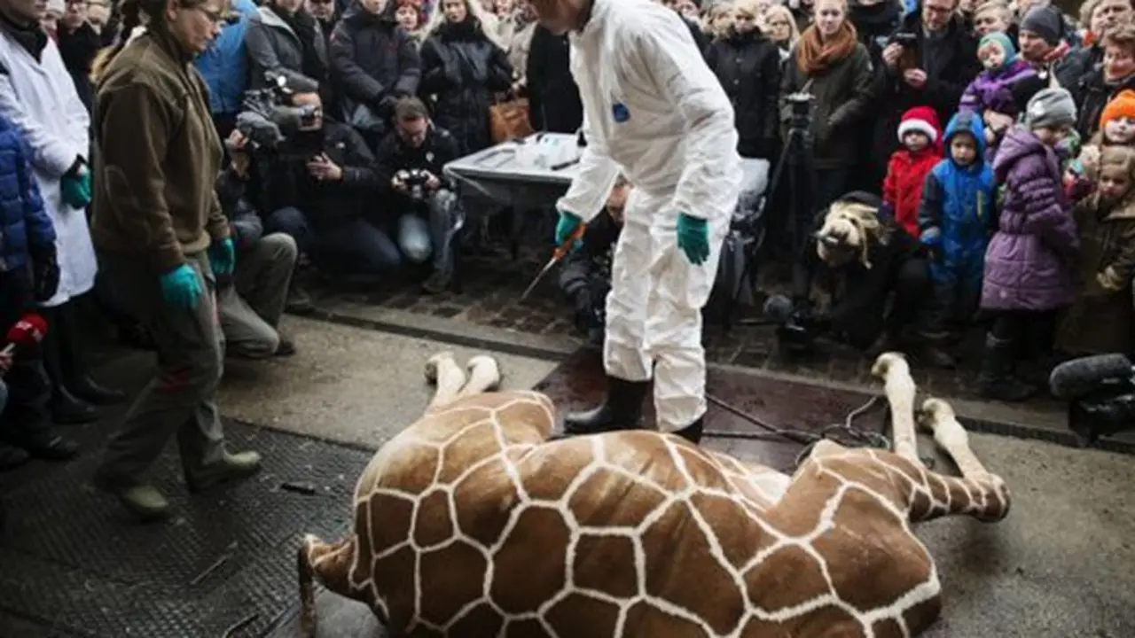 Foto: copyright dailymail.co.uk