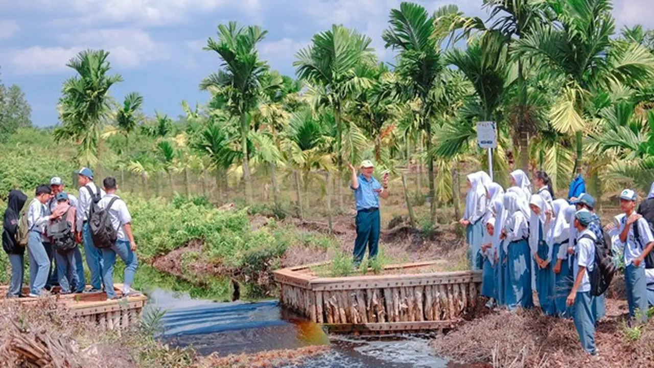 Tingkatkan Kesadaran Lingkungan, Kurikulum Gambut Mulai Diterapkan di Sekolah Dasar hingga Menengah Atas