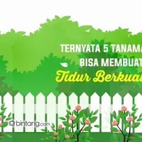 Ternyata 5 Tanaman Ini Bisa Membuat Tidur Berkualitas