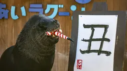 Leo, seekor singa laut berusia 18 tahun berpose setelah menulis karakter China untuk kerbau selama pratinjau pers di Yokohama Hakkeijima Sea Paradise di Yokohama, Jepang, Sabtu (26/12/2020).  Berdasarkan astrologi China, tahun 2021 mendatang akan menjadi Tahun Kerbau Logam. (Philip FONG / AFP)