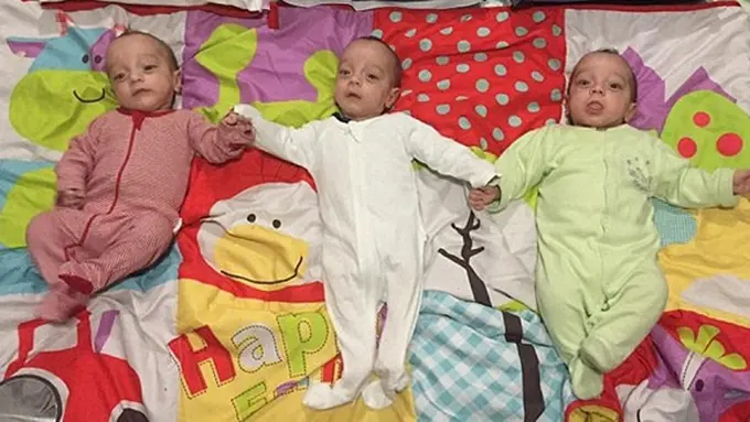 Foto: copyright dailymail.co.uk