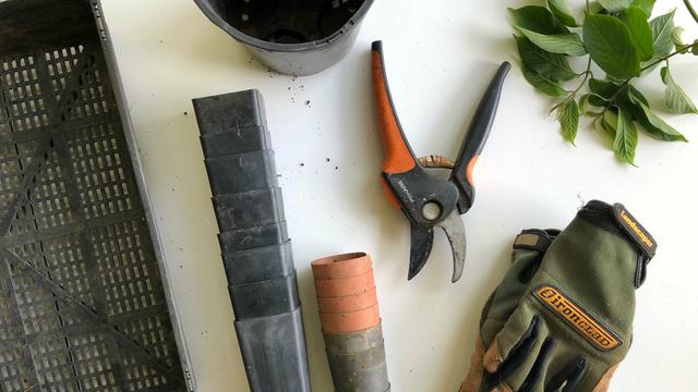 Simak, Barang yang Boleh dan Tidak Dimasukkan ke Dalam Garasi