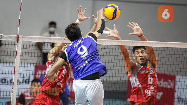 Foto: Didukung Langsung Mantan Presiden Susilo Bambang Yudhoyono sebagai Pemilik, Tim Debutan Bogor LavAni Juara PLN Mobile Proliga 2022