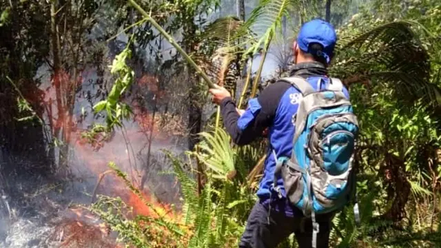 Relawan berupaya memadamkan api di Lereng Gunung Slamet, Petak 58A, Dukuh Bambangan, Kutabawa, Karangreja, Purbalingga. (Foto: Liputan6.com/Perhutani/Muhamad Ridlo)