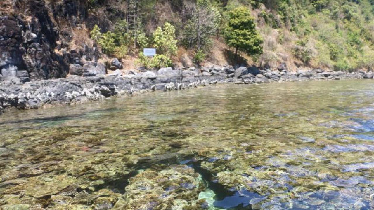 (Foto: Liputan6.com/Dian Kurniawan)