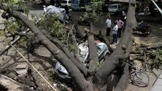Sejumlah warga melihat mobil yang tertimpa pohon yang tumbang akibat  badai angin kencang di New Delhi, India (16/5). (AFP Photo/Sajjad Hussain)
