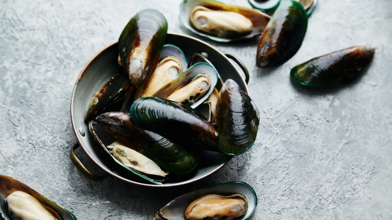kerang