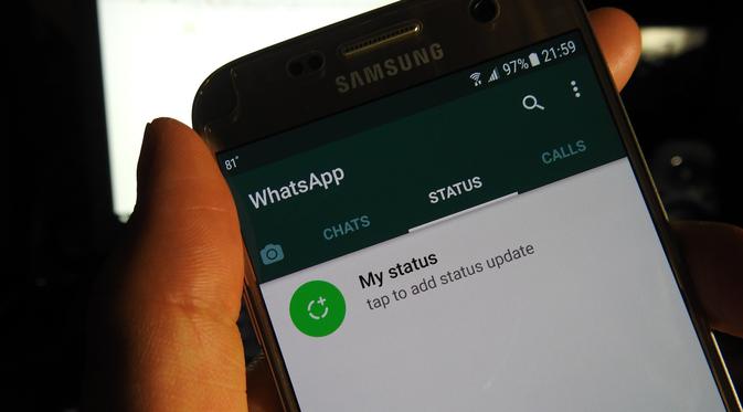 Cara Melihat Status WhatsApp Tanpa Diketahui (Sumber: Pixabay)