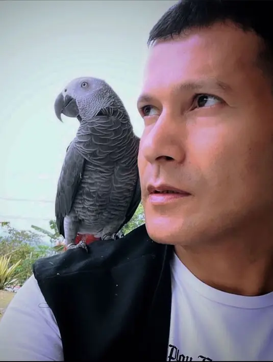 Begitu akrab dan penurut, burung kesayangannya itu pun tetap berada di samping Adam walaupun berada di luar ruangan. Artis 90-an yang masih aktif hingga sekarang ini selalu bahagia ketika hewan bersayap itu minta dimanja-manja. Bahkan, pesinetron ini menyebut mereka sebagai anak-anaknya. (Liputan6.com/IG/@adam_jordanreal)