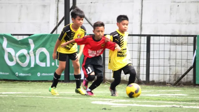 Liga Bola Indonesia 2016