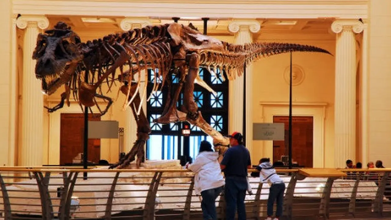 Ilustrasi museum.
