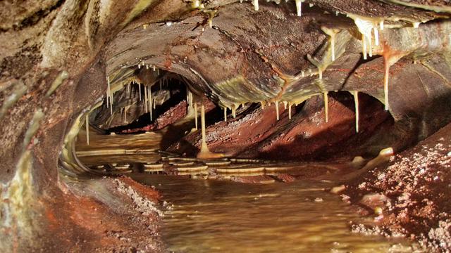 Wind Cave National Park