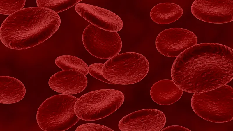 Ilustrasi hemoglobin sebagai zat yang memproduksi sel darah merah