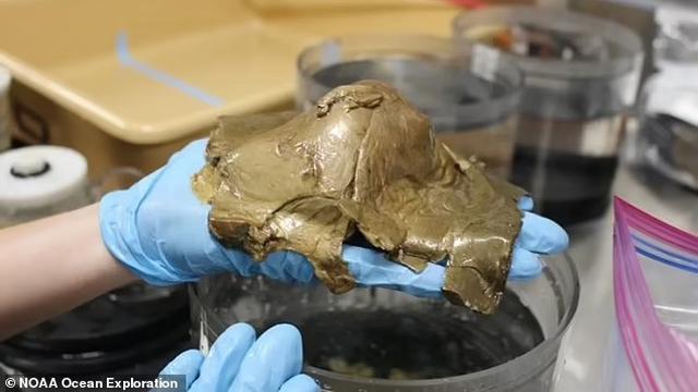 Penelitian lanjutan objek misterius yang ditemukan