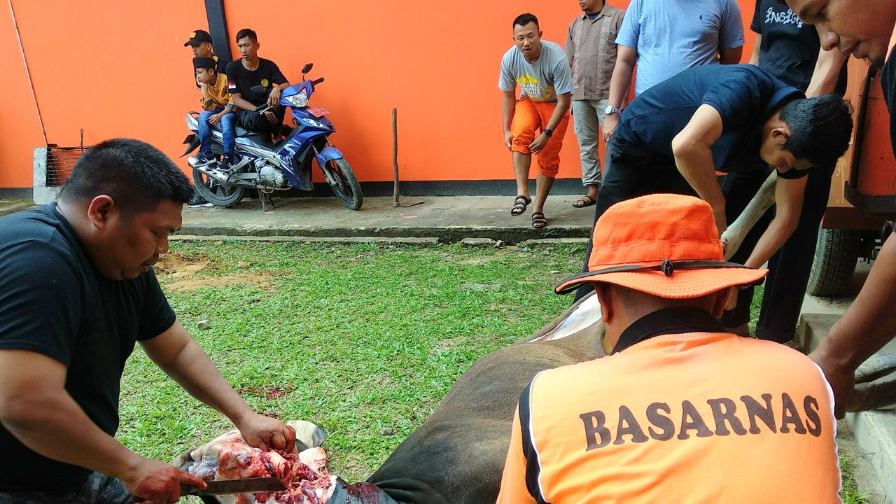 Kepala Kantor SAR Kendari hanya dalam hitungan menit memyembelih dan bagikan hewan kurban kepada warga.(Liputan6.com/Ahmad Akbar Fua)