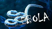 Tiga Tuan Rumah Piala Dunia 2026 Kompak Perketat Aturan Perjalanan karena Ebola