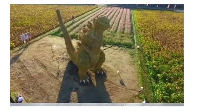 6 Kelakuan Nyeleneh saat di Sawah Ini Bikin Geleng Kepala