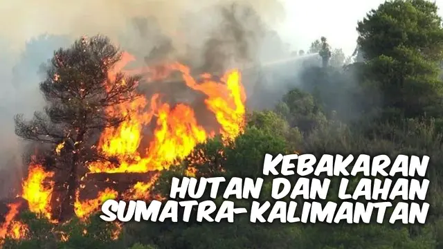 VIDEO: Kapan Darurat Kebakaran Hutan dan Lahan Berakhir?