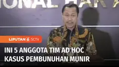 Komnas HAM membentuk Tim Ad Hoc penyelidikan pelanggaran HAM berat, dalam kasus pembunuhan Munir Said Thalib. Tim beranggotakan lima orang, salah satunya adalah Ketua Komnas HAM, Ahmad Taufan Damanik.
