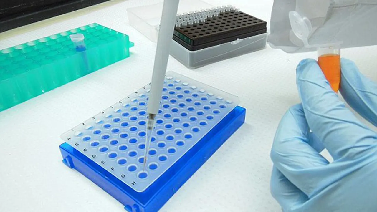 Menentukan Pasangan Dengan Mencocokan DNA