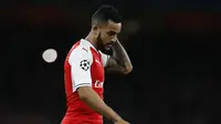 Walcott Akui Terjadi Keributan di Ruang Ganti Arsenal