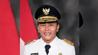 Gubernur Kalteng Sugianto Sabran. (Foto: Istimewa/wikipedia)