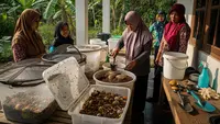 Ide Ternak untuk IRT dengan Modal di Bawah Rp100 Ribu, Tambah Penghasilan dari Rumah