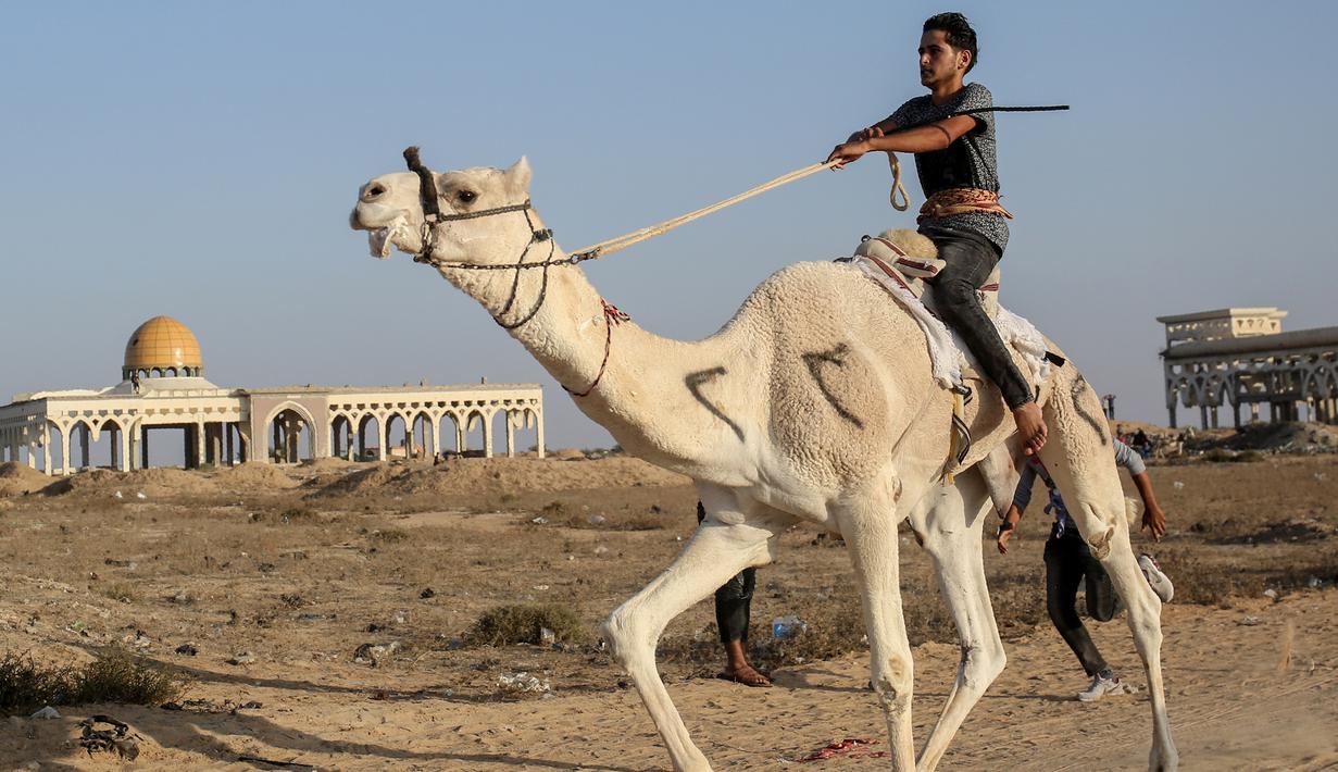 Seorang joki Palestina beraksi saat bersaing dalam perlombaan unta lokal yang diadakan di lokasi bekas bandara Gaza yang hancur, di Rafah, Jalur Gaza selatan (20/10/2019). Bandara Internasional Yasser Arafat yang diresmikan November 1998, kini tinggal reruntuhan akibat serangan Israel. (AFP Photo/Sa
