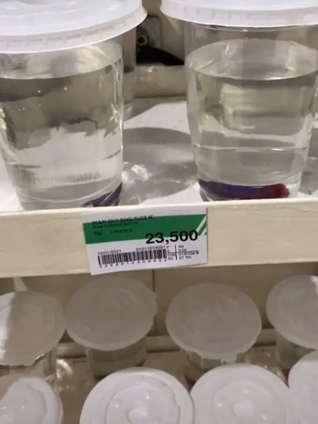 Viral, Video Supermarket di Jakarta Ini Jual Ikan Cupang