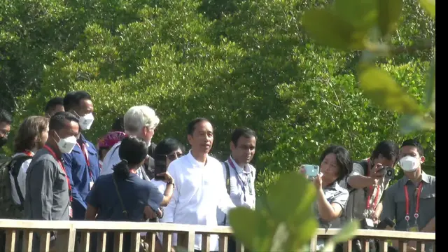Presiden Joko Widodo (Jokowi) mengajak Delegasi Konferensi Tingkat Tinggi G20 (KTT G20) ke Taman Hutan Raya Mangrove Ngurah Rai Bali, Rabu (16/11/2022).