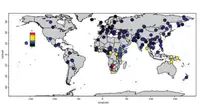 Sebuah penelitian terkini tentang DNA manusia mengungkapkan bahwa manusia modern berasal dari suatu kelompok manusia Afrika purba. (Sumber Harvard Medical School)