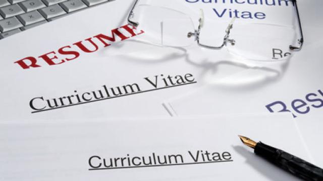 12 Contoh Cv Kreatif Dan Cara Mudah Membuatnya Bagi Pemula