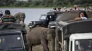 Wisatawan melihat melihat kawanan gajah Asia di Taman Nasional Minneriya di Sri Lanka tengah utara (17/5). Taman ini dibangun pada masa pemerintahan Kerajaan Anuradhapura oleh raja Mahasena sekitar 277 Masehi. (AFP Photo/Alex Ogle)
