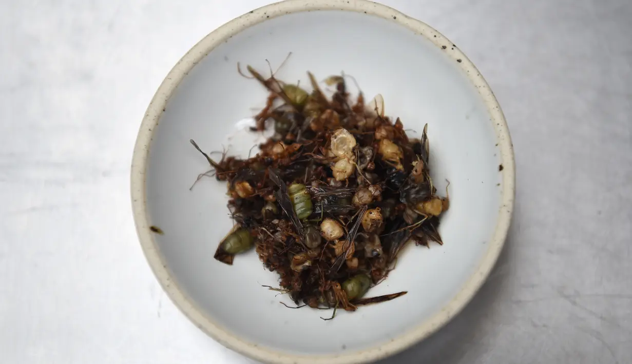 <p>Hidangan kombinasi semut bersayap yang dapat dimakan saat disiapkan di dapur restoran Insects in the Backyard, Bangkok, 15 Agustus 2017. Restoran ini menjadi yang pertama membuka menu hidangan makanan dengan kombinasi serangga. (LILLIAN SUWANRUMPHA/AFP)</p>
