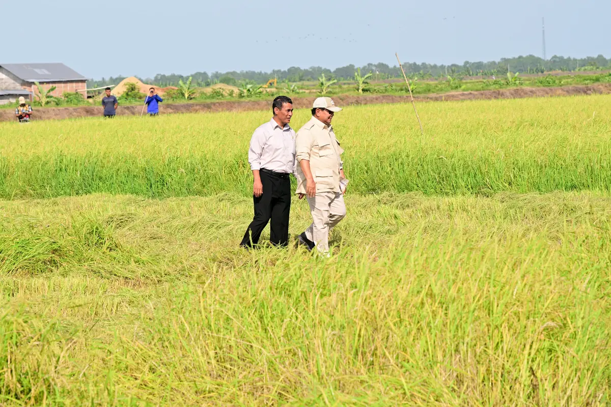 Presiden Prabowo Subianto dan Mentan Amran Sulaiman meninjau langsung proses tanam dan panen padi di Desa Telaga Sari, Distrik Kurik, Kabupaten Merauke.
