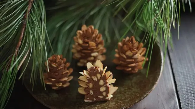 Kue unik menyerupai bentuk tanaman sayang untuk di makan
