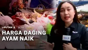 Harga Daging Ayam Naik, Pedagang Klaim Omzet Turun 25 Persen