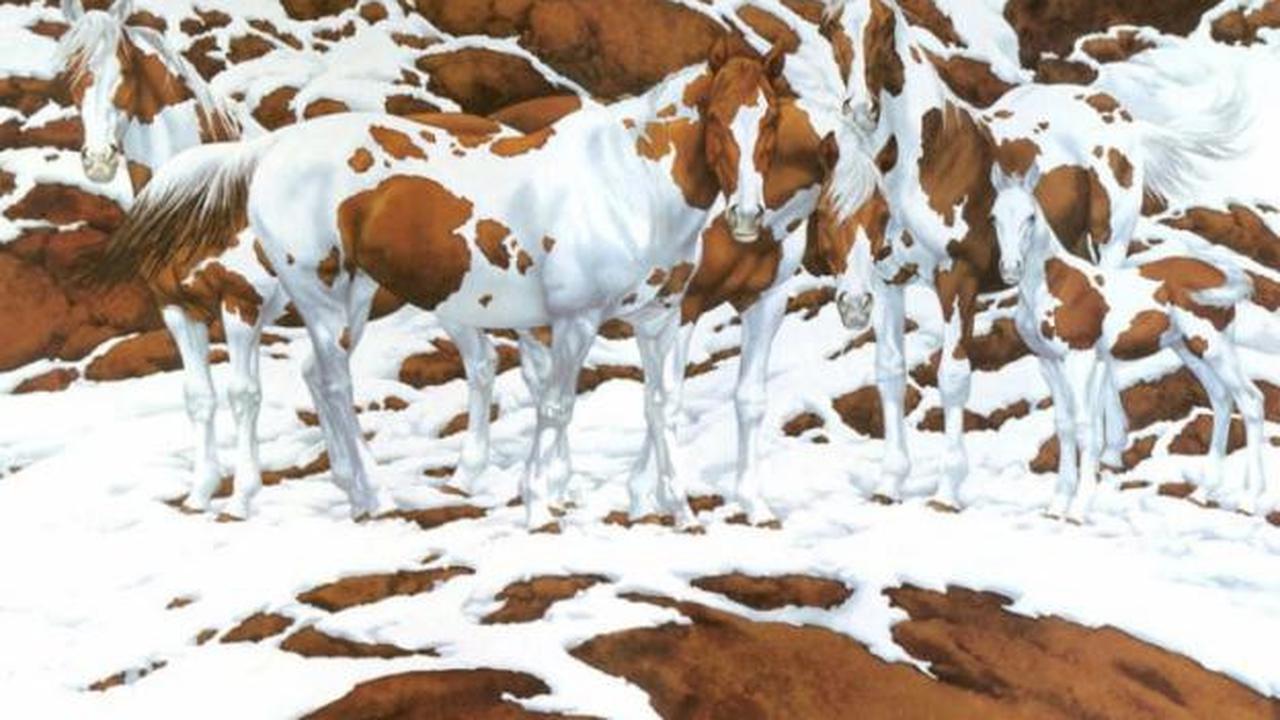 tebak ada berapa kuda