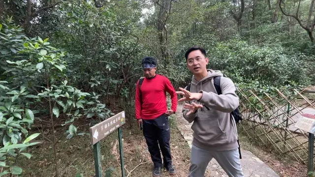 Panduan Wisata Wellness di Hong Kong, dari Terapi Gong hingga ‘Mandi Hutan’