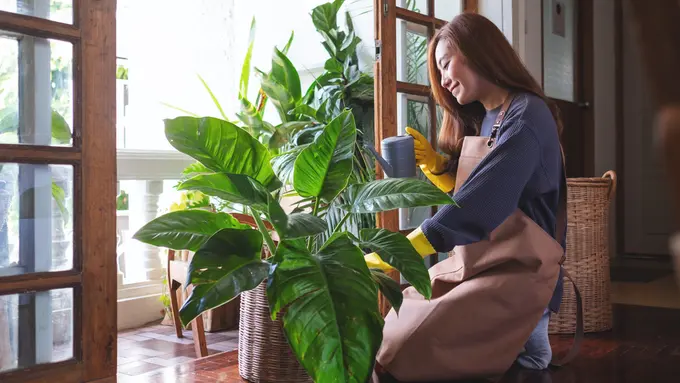 perempuan dan tanaman