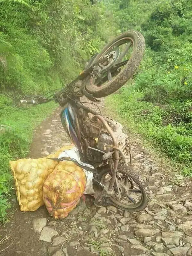 Kelewat Maksa, Aksi Kocak Sepeda Motor Angkut Barang Besar Bikin Ngakak