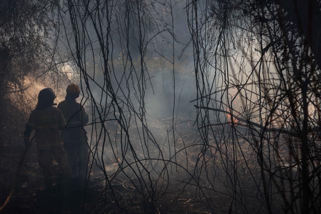 Kebakaran Hutan Chile, 18 Orang Tewas dan Puluhan Ribu Lainnya Mengungsi