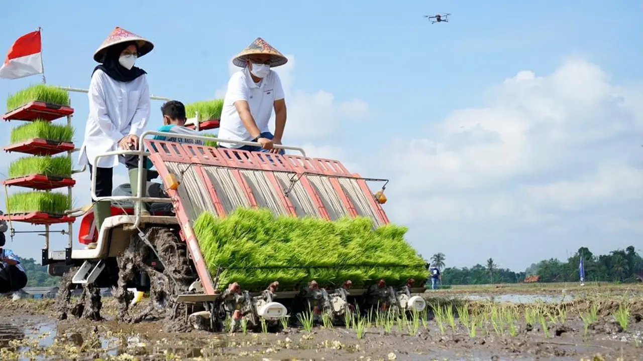 Cetak Jagoan Tani, Banyuwangi Modali Anak Muda Ratusan Juta Bisnis Pertanian